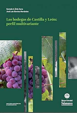 Bild des Verkufers fr Las bodegas de castilla y leon: perfil multivariante zum Verkauf von Imosver