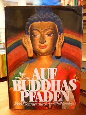 Immagine del venditore per Auf Buddhas Pfaden - 2000 Kilometer durch den Westhimalaya, venduto da Antiquariat Orban & Streu GbR