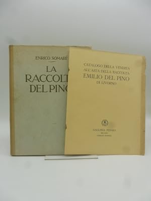 La raccolta Del Pino