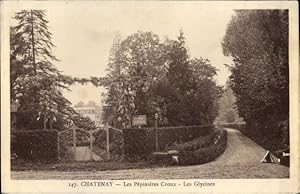 Ansichtskarte / Postkarte Chatenay Hauts-de-Seine, Les Pepinieres Croux, Les Glycines