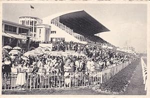 Ostende Wellington Horses Race Course Grandstand Belgium Racecourse Old Postcard