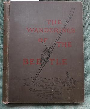 The Wanderings of The Beetle