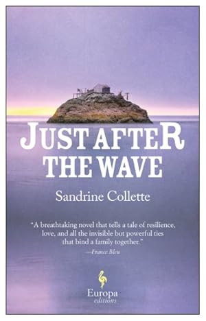 Seller image for Just After the Wave for sale by GreatBookPrices