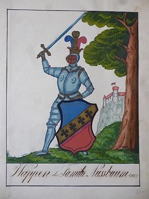 Orig. Handmalerei: Wappen der Familie Nussbaum (er). No. 7. Heraldic Wappenmalerei.