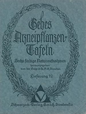 Seller image for Gehes Arzneipflanzen-Tafeln. Lieferung 12. Sechs farbige Naturaufnahmen [in einer Mappe]. for sale by Tills Bcherwege (U. Saile-Haedicke)