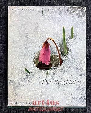 Imagen del vendedor de Der Berg blht : Erleben und Deutung alpiner Pflanzen in Wort und Bild. a la venta por art4us - Antiquariat