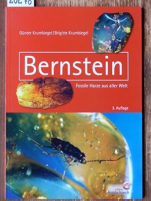 Bernstein - Fossile Harze aus aller Welt.