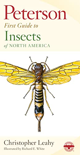 Imagen del vendedor de Peterson First Guide to Insects of North America a la venta por Brockett Designs