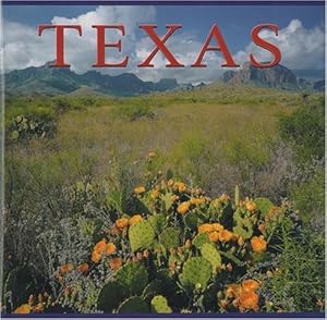 Imagen del vendedor de Texas (America) by Kyi, Tanya Lloyd [Paperback ] a la venta por booksXpress