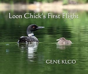Immagine del venditore per Loon Chick's First Flight [Soft Cover ] venduto da booksXpress