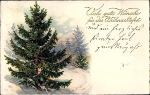 Ansichtskarte / Postkarte Glückwunsch Weihnachten, Tannenbaum - Verlag: Meissner Buch 2916