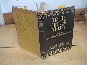 Imagen del vendedor de Tribe Under Trust a la venta por The Book Business (P.B.F.A)