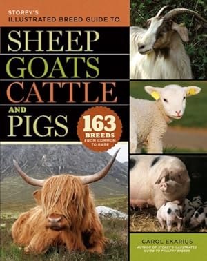 Seller image for Storey's Illustrated Breed Guide to Sheep, Goats, Cattle and Pigs: 163 Breeds from Common to Rare by Ekarius, Carol [Paperback ] for sale by booksXpress