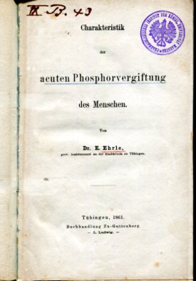 Charakteristik der acuten Phosphorvergiftung