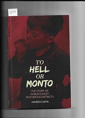 Immagine del venditore per To Hell or Monto: The Story of Dublin?s Two Most Notorious Red-Lights Districts venduto da Gwyn Tudur Davies
