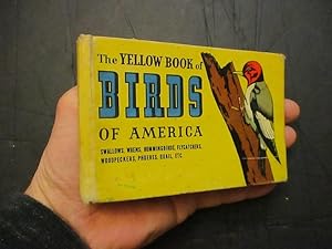 Imagen del vendedor de The Yellow Book of Birds Of America a la venta por Dean's Books