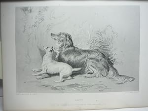 Charles G. Lewis Antique Steel Engraving "Safe !" after a Painting by Sir E. Landseerl (1878)