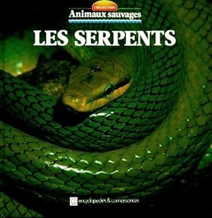 Les serpents - Maria-Angels Julivert