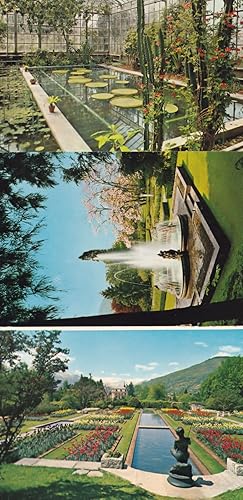Verbania Pallanza Giardini Botanici Di Villa Taranto 3x Italy Postcard s