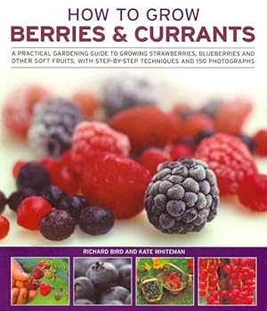 Immagine del venditore per How to Grow Berries & Currants : A Practical Gardening Guide to Growing Strawberries, Blueberries and Other Soft Fruits, With Step-By-Step Techniques and 150 Photographs venduto da GreatBookPrices
