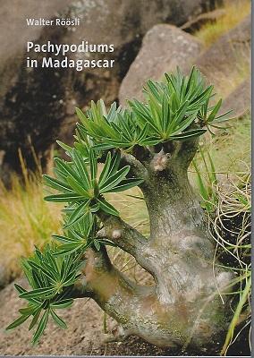 Pachypodiums in Madagascar