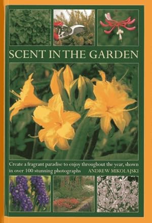 Seller image for Scent in the Garden : Create a Fragrant Paradise to Enjoy Throughout the Year, Shown in 100 Stunning Photographs for sale by GreatBookPrices