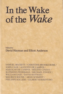 Bild des Verkufers fr In the Wake of the Wake zum Verkauf von Kennys Bookshop and Art Galleries Ltd.