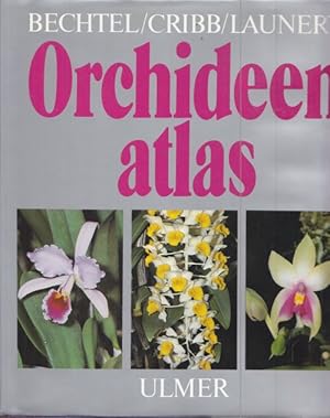 Bild des Verkufers fr Orchideen. Die Kulturorchideen. Lexikon der wichtigsten Gattungen und Arten. zum Verkauf von Altstadt Antiquariat Goslar