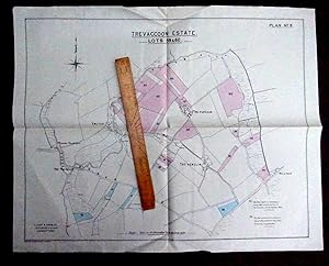 Large Scale 25 Inch to Mile Map Printed 1919 covering Properties & Land for Sale North of St Davi...