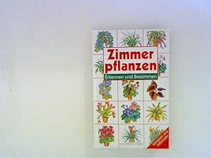 Zimmerpflanzen