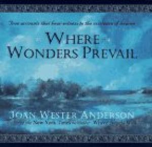 Seller image for Where Wonders Prevail for sale by 2nd Hand Books