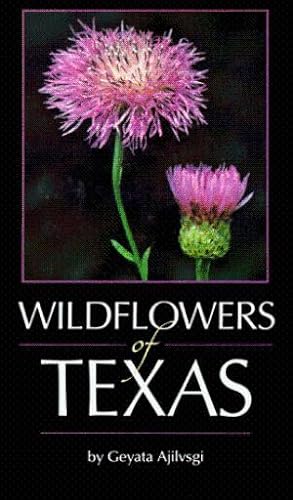 Wildflowers of Texas