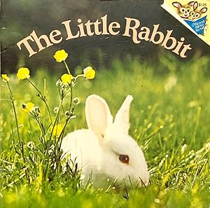 The Little Rabbit