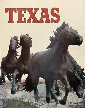 Seller image for Texas for sale by 2nd Hand Books