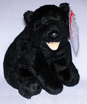 Cinder the Black Bear