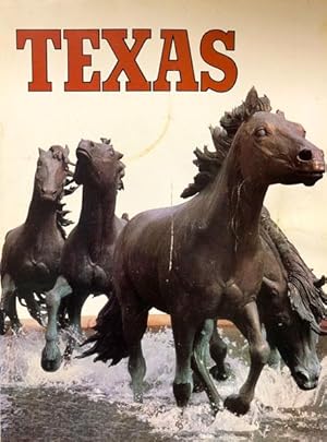 Seller image for Texas Travel Guide for sale by 2nd Hand Books