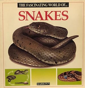 Imagen del vendedor de Snakes a la venta por 2nd Hand Books