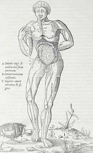 Medizin, Anatomie , Medizin. - Anatomie. - "De Dissect. Partium".