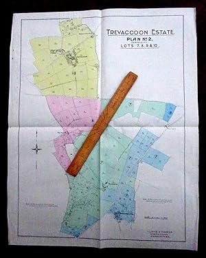 Large Scale 16 Inch to Mile Map Printed 1919 covering Properties for Sale as part of the Trevacco...