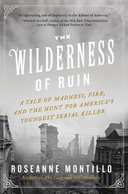 Seller image for The Wilderness of Ruin: A Tale of Madness, Fire, and the Hunt for America's Youngest Serial Killer (Paperback or Softback) for sale by BargainBookStores