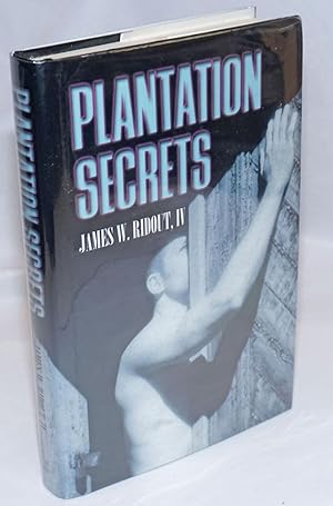 Plantation Secrets a novel