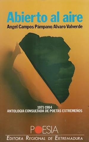 Seller image for Abierto al aire for sale by Librera Cajn Desastre