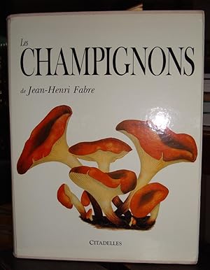 Seller image for Les champignons de Jean-Henri FABRE for sale by Librairie Seigneur