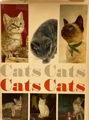 Seller image for Cats Cats Cats Cats for sale by 2nd Hand Books