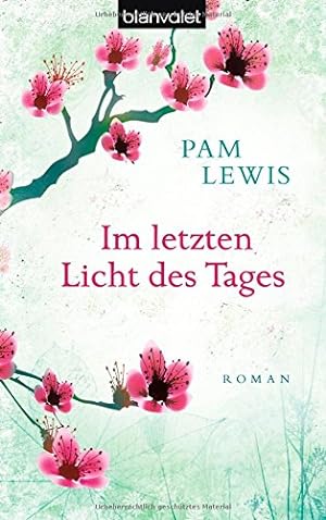 Seller image for Im letzten Licht des Tages: Roman for sale by Gabis Bcherlager