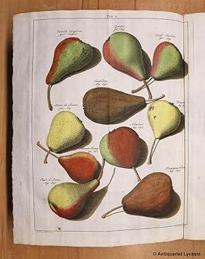 Bild des Verkufers fr Fructologie ou Description des Arbres Fruitiers UND Pomologie ou Description des deilleures Sortes de Pommes et de Poires. (2 Bnde gebunden in einem, komplett). zum Verkauf von Antiquariat Lycaste