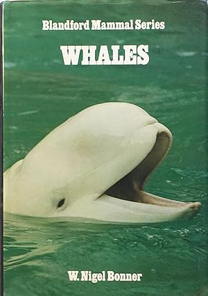 Seller image for Whales for sale by Acanthophyllum Books