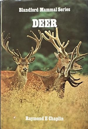 Blandford Mammal Series: Deer