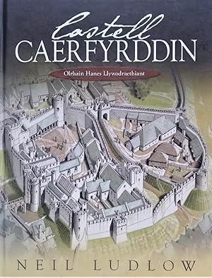 Image du vendeur pour Castell Caerfyrddin: Olrhain Hanes Llywodraethiant mis en vente par PKRD