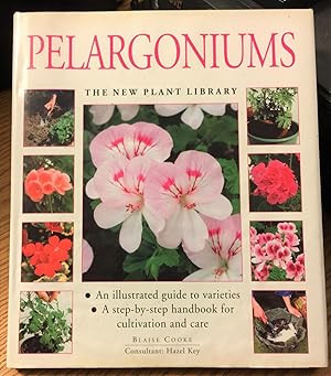 Seller image for Pelargoniums for sale by Old Lady Who?